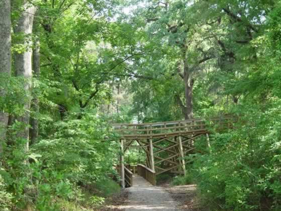One of the boardwalks at the Forts Randolph and Buhlow State Historic Site
